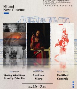 3 films Miami New Cinema
